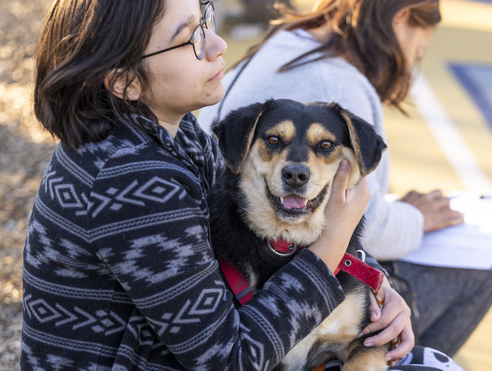 woman wearing a patterned sweater who's holding a black and tan dog